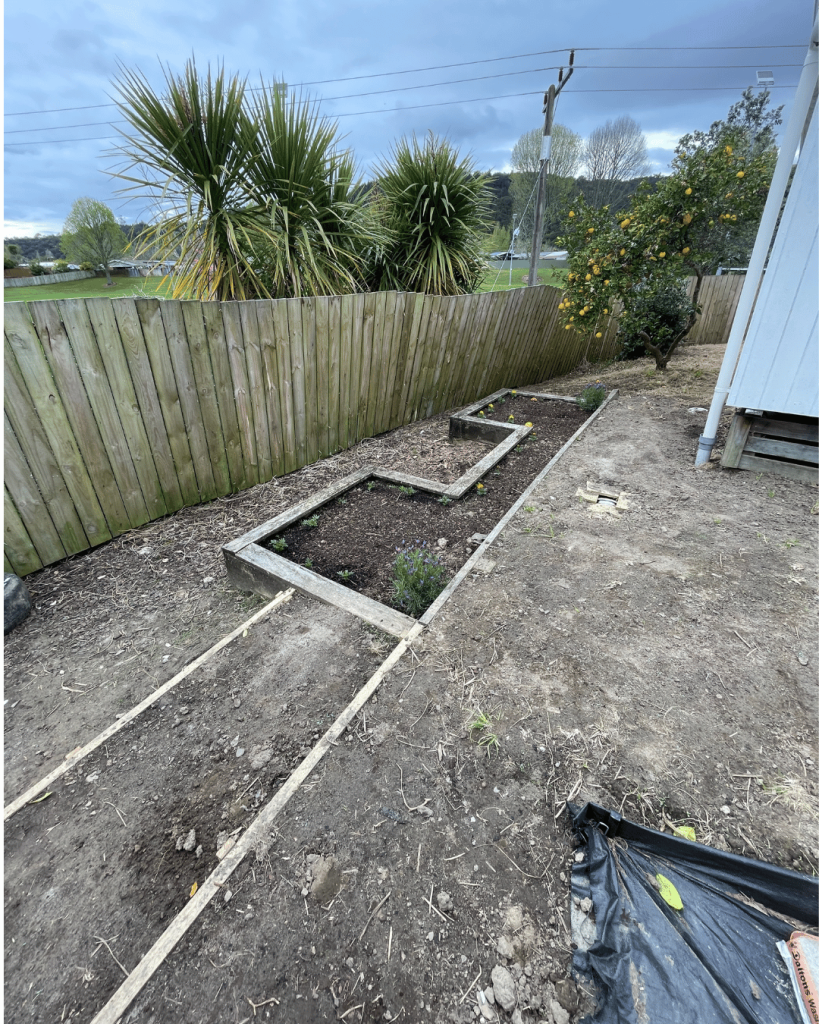 new raised garden bed