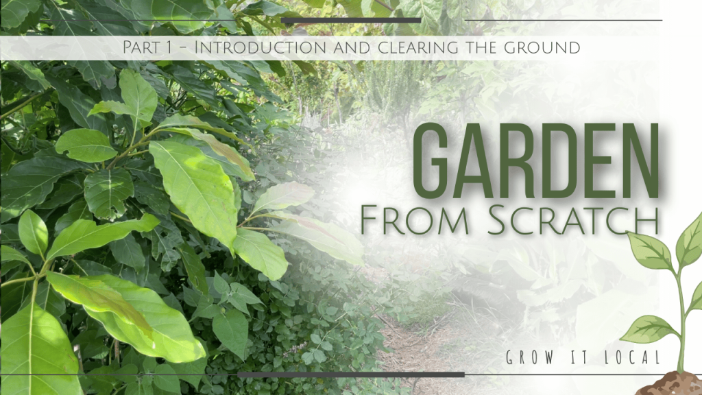 starting a garden from scratch thumbnail showing title and green plants