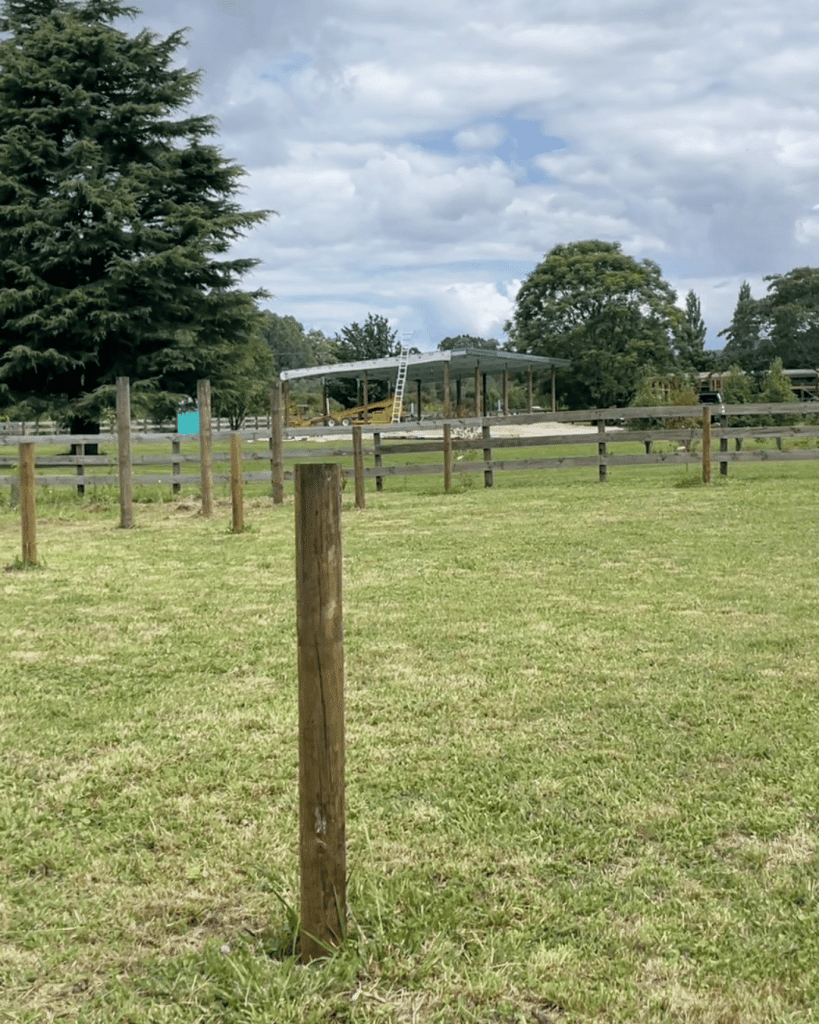 open paddock where garden will be
