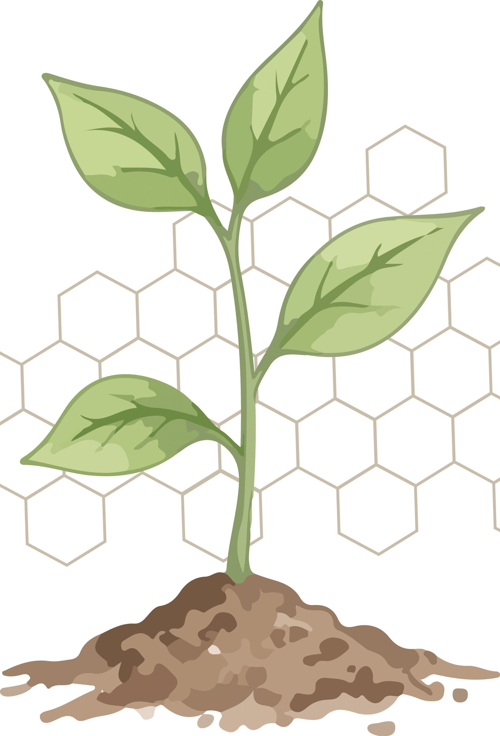 Grow It Local